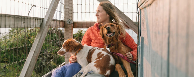 GO GUIDE: Adventure Your Dog's Way with Ruffwear