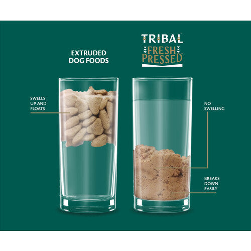 Tribal TLC Grain Free Cold Pressed Salmon Adult Dog Food 12kg Tribal