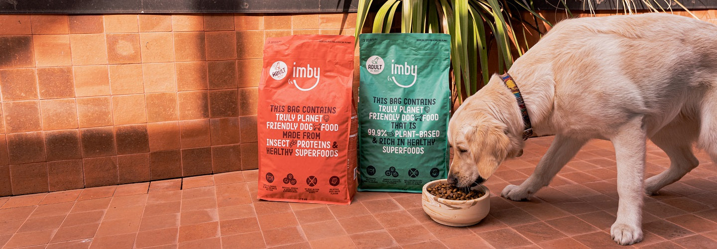 Help Avoid Allergies with Imby Plant-based and Insect-based Dog Food.