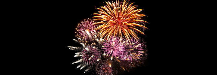 Pet Safety During Party Season: Coping with Fireworks