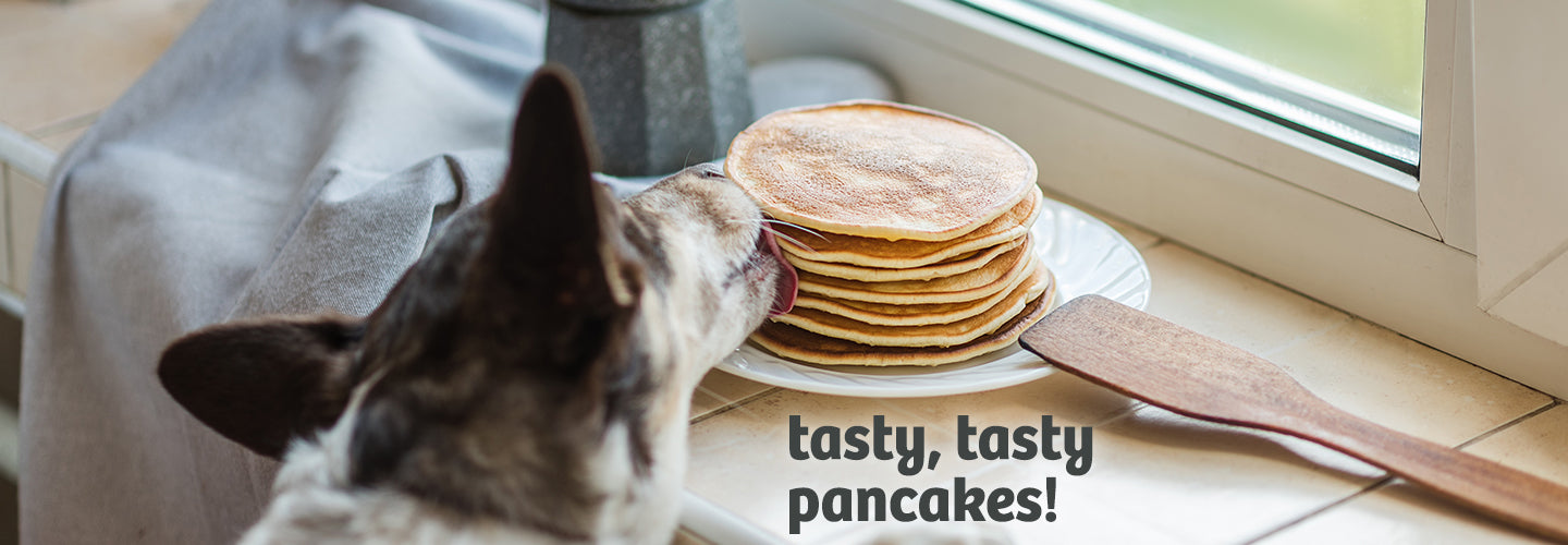 Treat Time: Get the Perfect Dog-Friendly Pancakes!