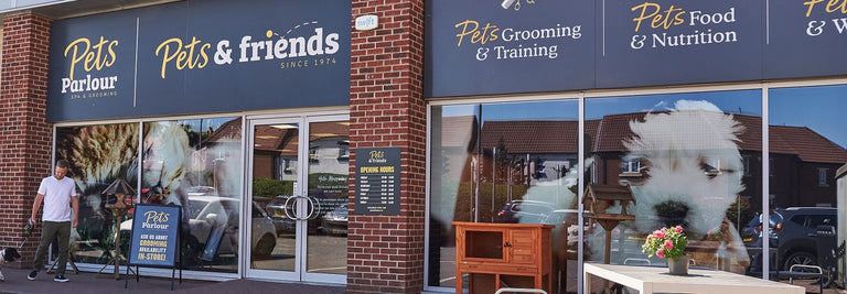 How to Make the Most of Free Services Available for Your Pet.