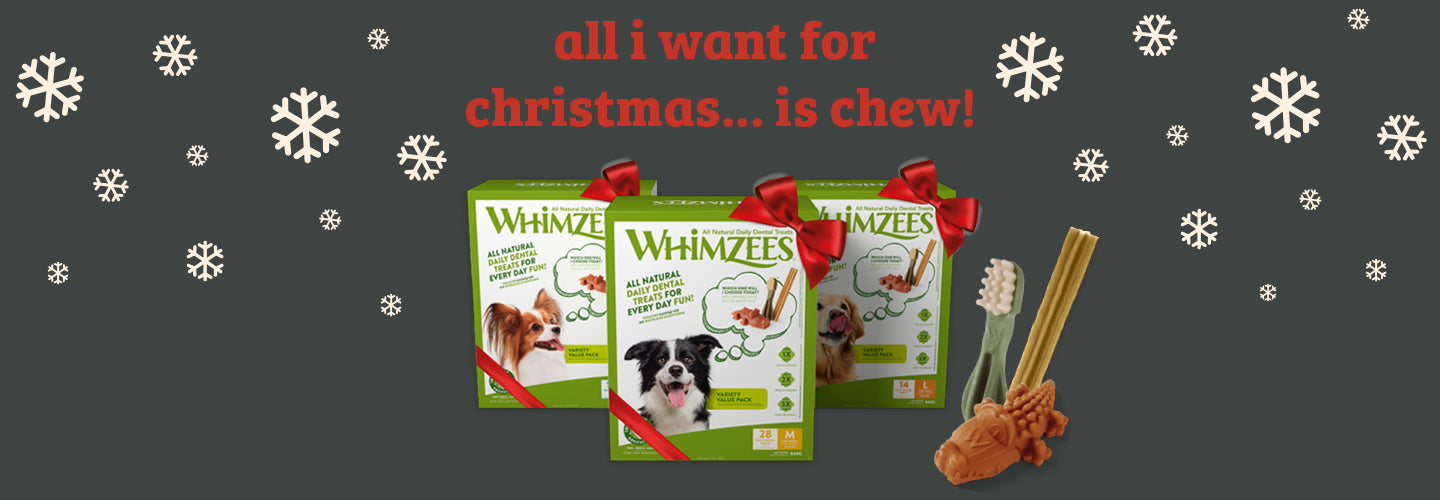 All I Want for Christmas is Chew! Introducing the NEW WHIMZEES Variety Pack & Our Top Christmas Treats