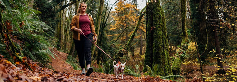 Walk Your Dog Month: Pets & Friends Top Picks!