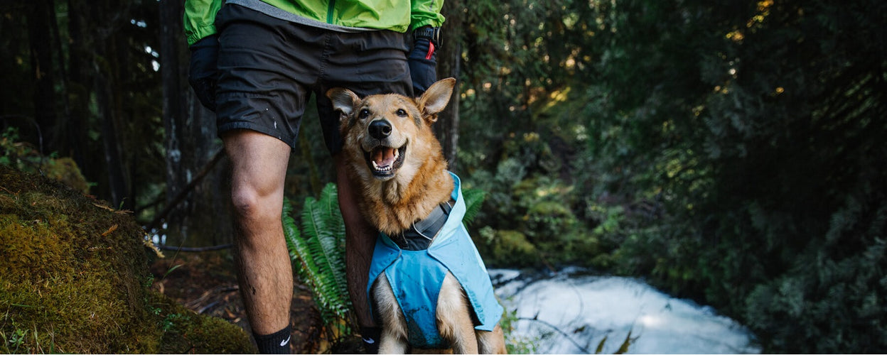 Kitting Out Your Dog for the Outdoors with Ruffwear: What’s the Difference Between Waterproof and Water-Resistant?