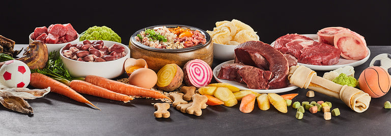 Dog Nutrition Focus: Grain Free Recipes