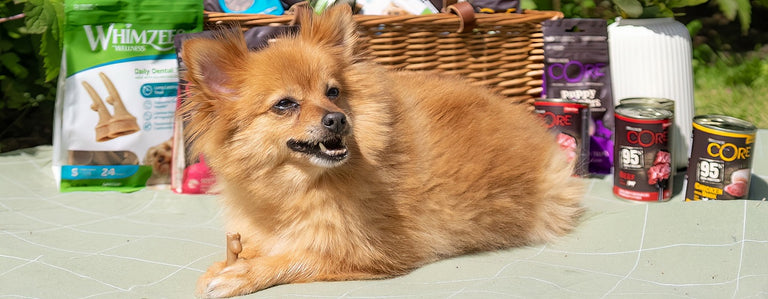 Beat the Heat with a Refreshing Snack with WHIMZEES and Wellness CORE