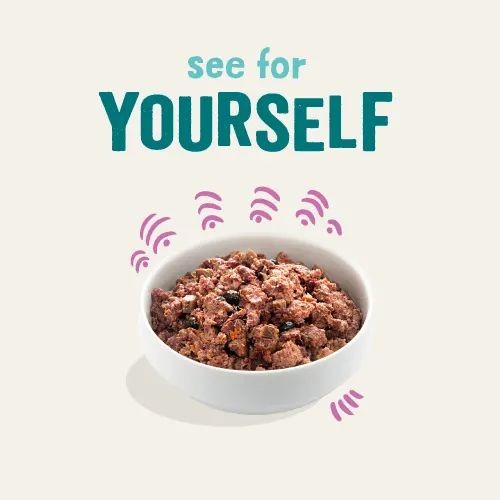 8083327f6d90a7bf577fe87b1bbe49dd