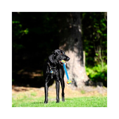 cd89b4065688bc6e4249212a41d8d58d