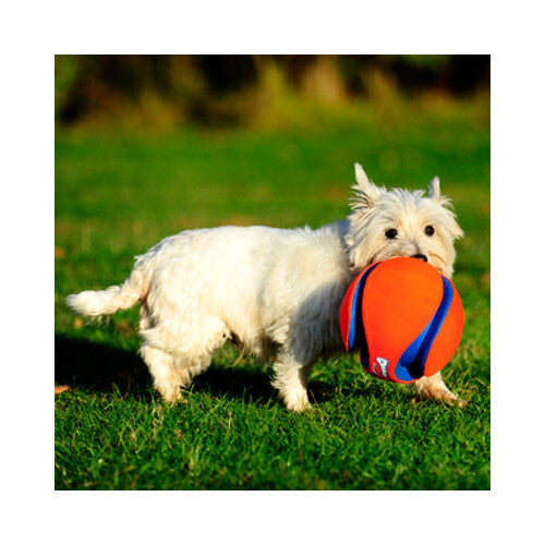 d2e9efb7b2e633aa457dd8bcff108003