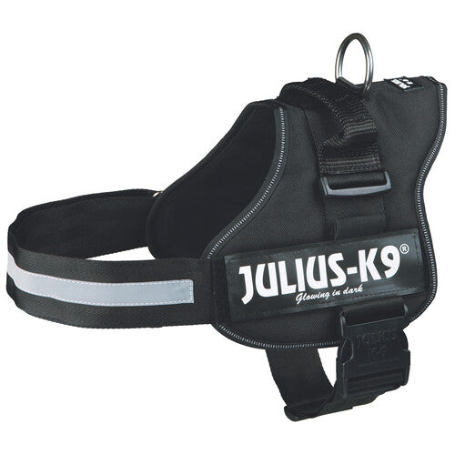 a6acc29c90f5a68a2574f4a173a760c3