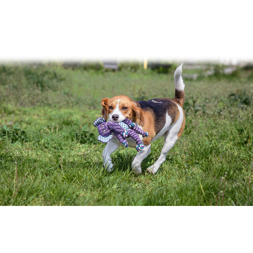 9efb5a2e66a5f6e4de6cd238ff5bc32c