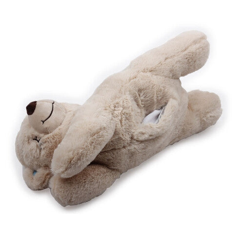 Paws teddy hotsell