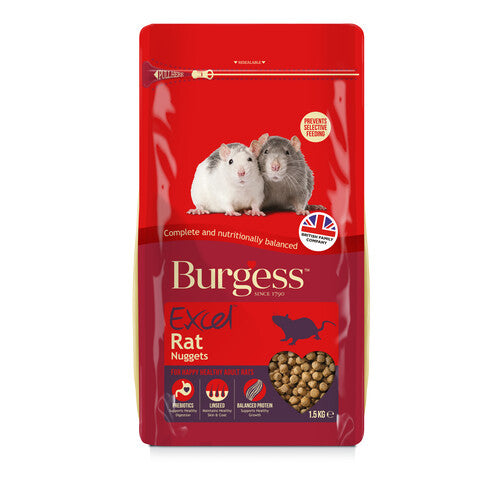 Burgess dwarf hamster sale