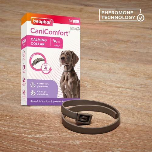 Calming collar beaphar shop