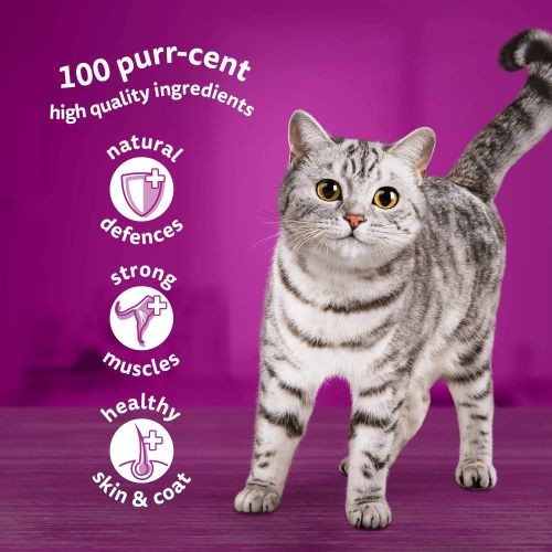 Whiskas Adult 1 Cat Food Pouches Meat Selection in Gravy 12 x 100g Whiskas Pets Friends