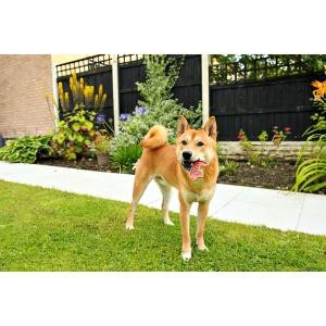 118a1b1b4f987625bf3d37a95fd295d8