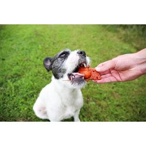 3acb2bb88c2285ee28f6a8ec606a541f