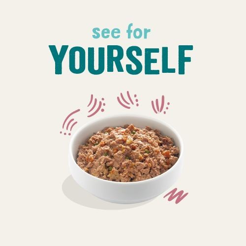 2b575a51f527bb1ae34b7a5130e67a57