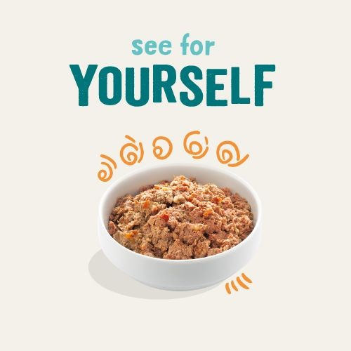 a9d3e45ff935ce0ffddbbc05fc382d7e