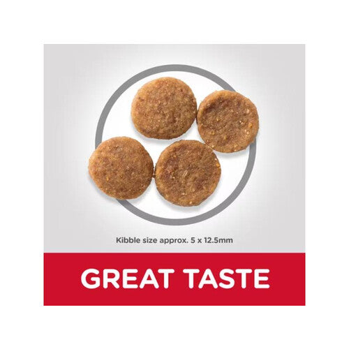 Hill's Science Plan Adult Perfect Weight Medium Dry Dog Chicken 2kg