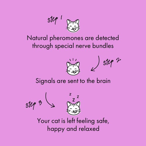 6728c47f2b6940787b422616c375c873