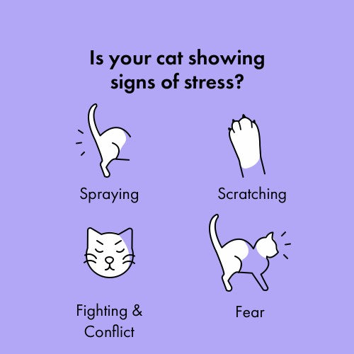 7832c960360d1ab70d5013095413968e