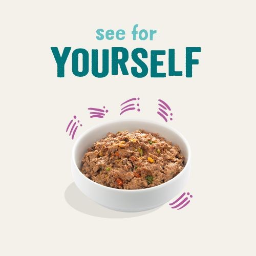 489d759a6cc11cb7697b97b20ae00220