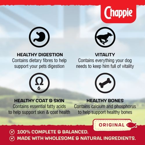 Chappie Adult Original Wet Dog Food Can 12 x 412g Chappie Pets
