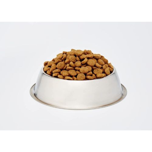 1c6ecf6ebab8de1b00cdfdc698795f51