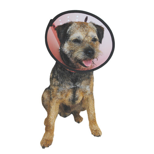 4b4bf25b79547989984214aa8ceafa89