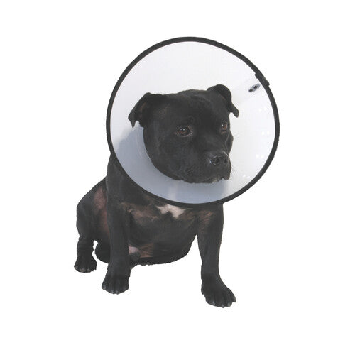 39e3abfd3966cba7b1041ba3ac0e9ca6