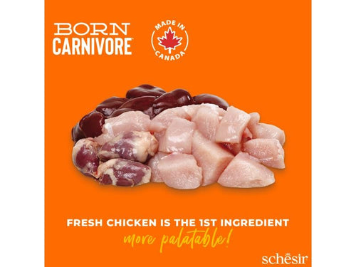 7a190f3da5b3fc765985ae4c955ee511