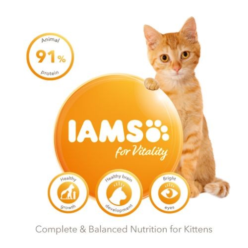 IAMS for Vitality Dry Kitten Food with Fresh Chicken 2kg Iams Pets Friends