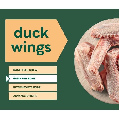 38d5fa4ca3998f313d1553314360c487