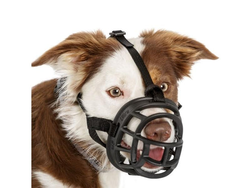 6c692f7340ce124153bc0af02c251a43