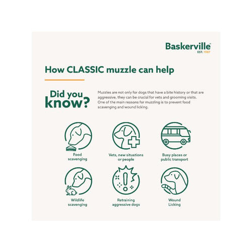 d7a06f28d50454837c428abf196f6b14