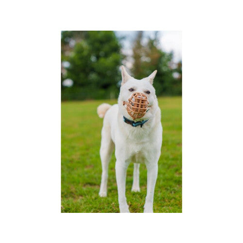 2cf800da5f5c6cff36cd28d169464a92