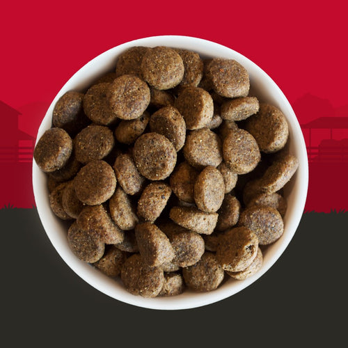 912edf19882d995c494858f00ada02a1