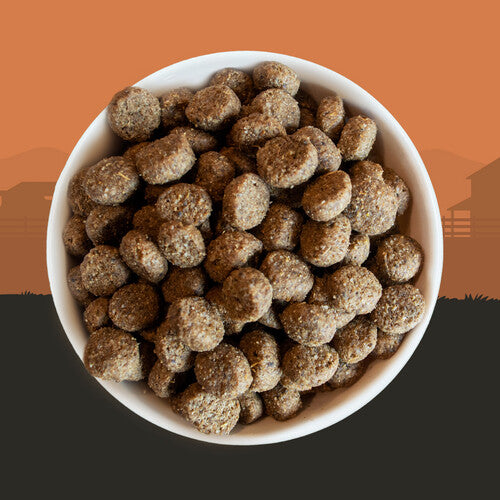 e2bf87fe7cc4fecc9483fb8a507dc631