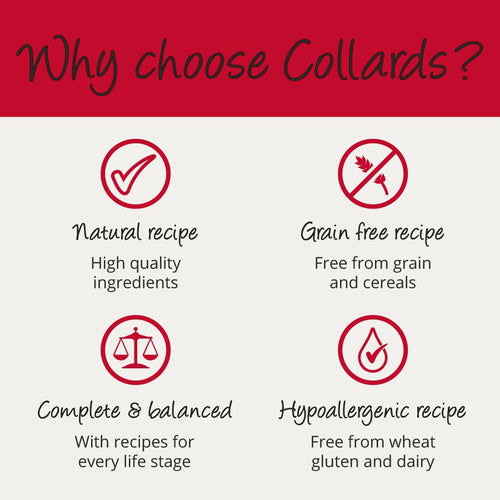 3e6b579d7c02a0adcb06531377cb9789