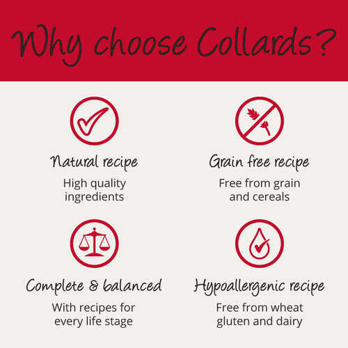 6e2f06f7fe41690f3a01d7379d66efaf