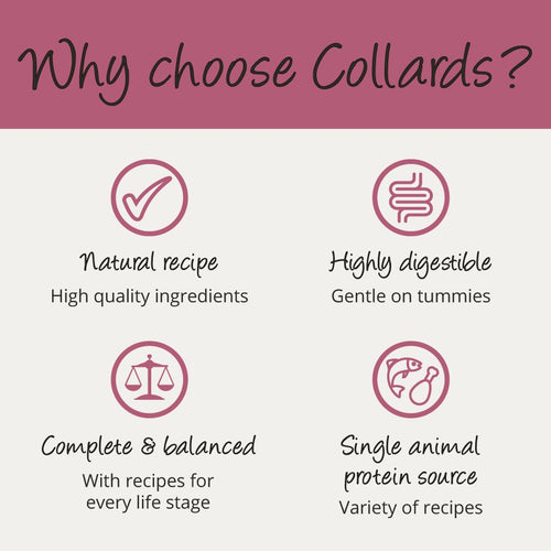 50381a29ff611e7db7f95e6a28e9078a