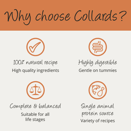 7351986bfb333e239cf214542e66d4c2