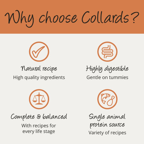 1cb6ad2ef067f0f96461193f35e6c40b