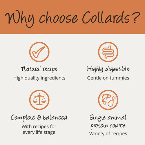 ff8b5b4910042721f0154eb88ca2eaed