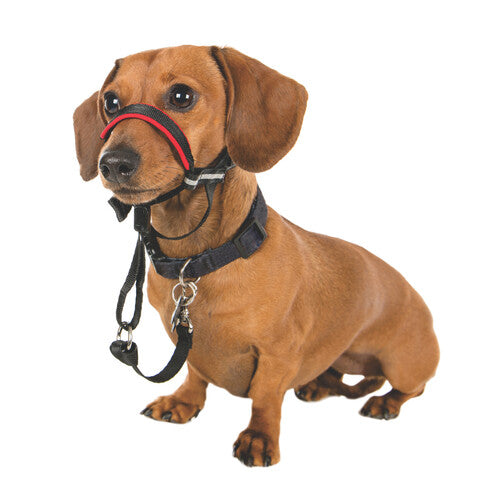 The Company Of Animals Halti OptiFit Headcollar for Dogs Small