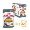 Royal Canin Intense Beauty Cat Food in Jelly Pouches 12 x 85g