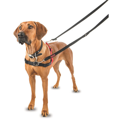 Halti Front Control Dog Harness Large