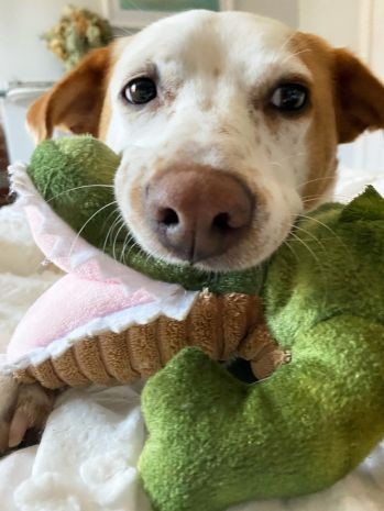 0498a17eeddced411a006984777c1937